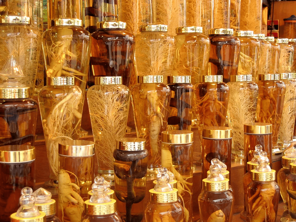 gücü artırmak için ginseng kökü